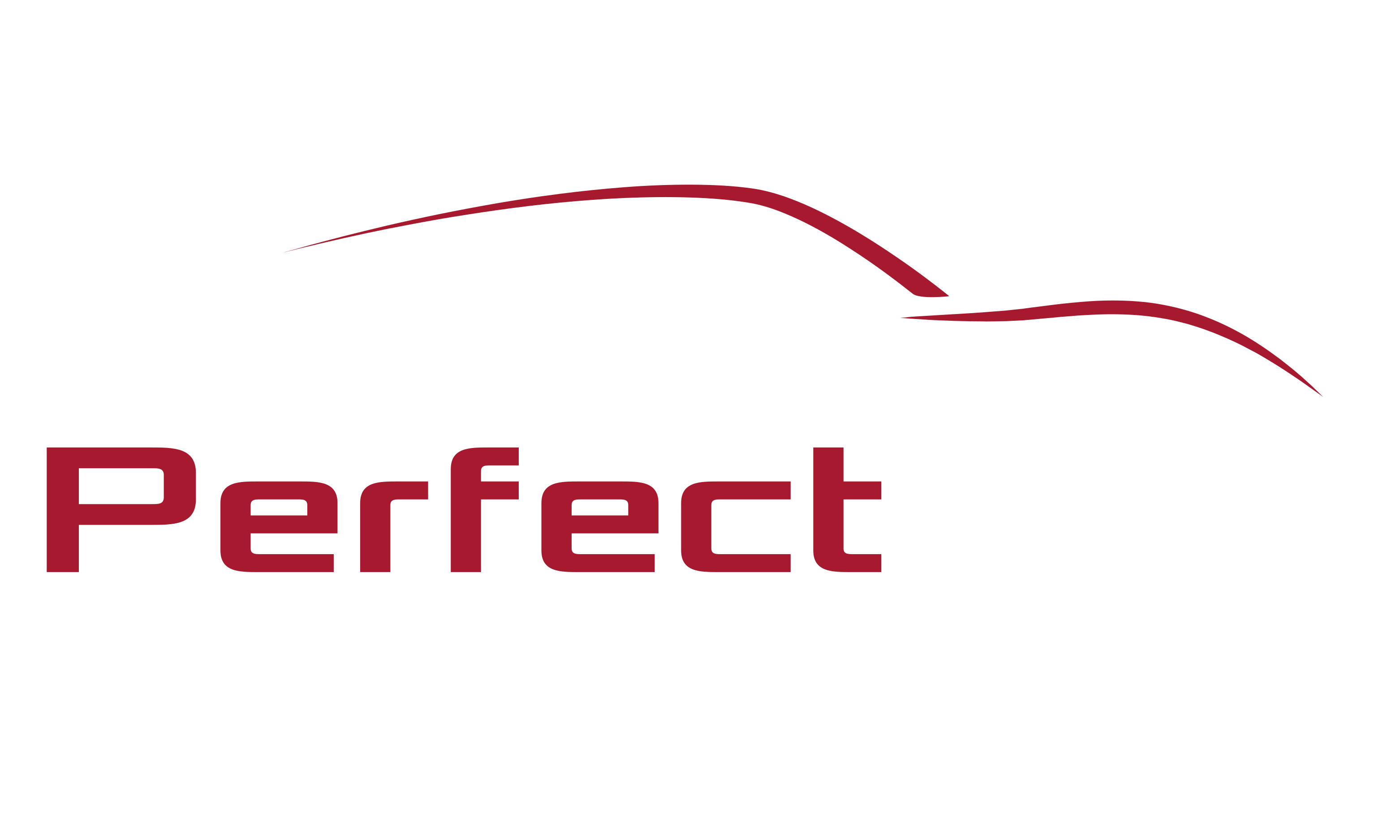 Perfect Car